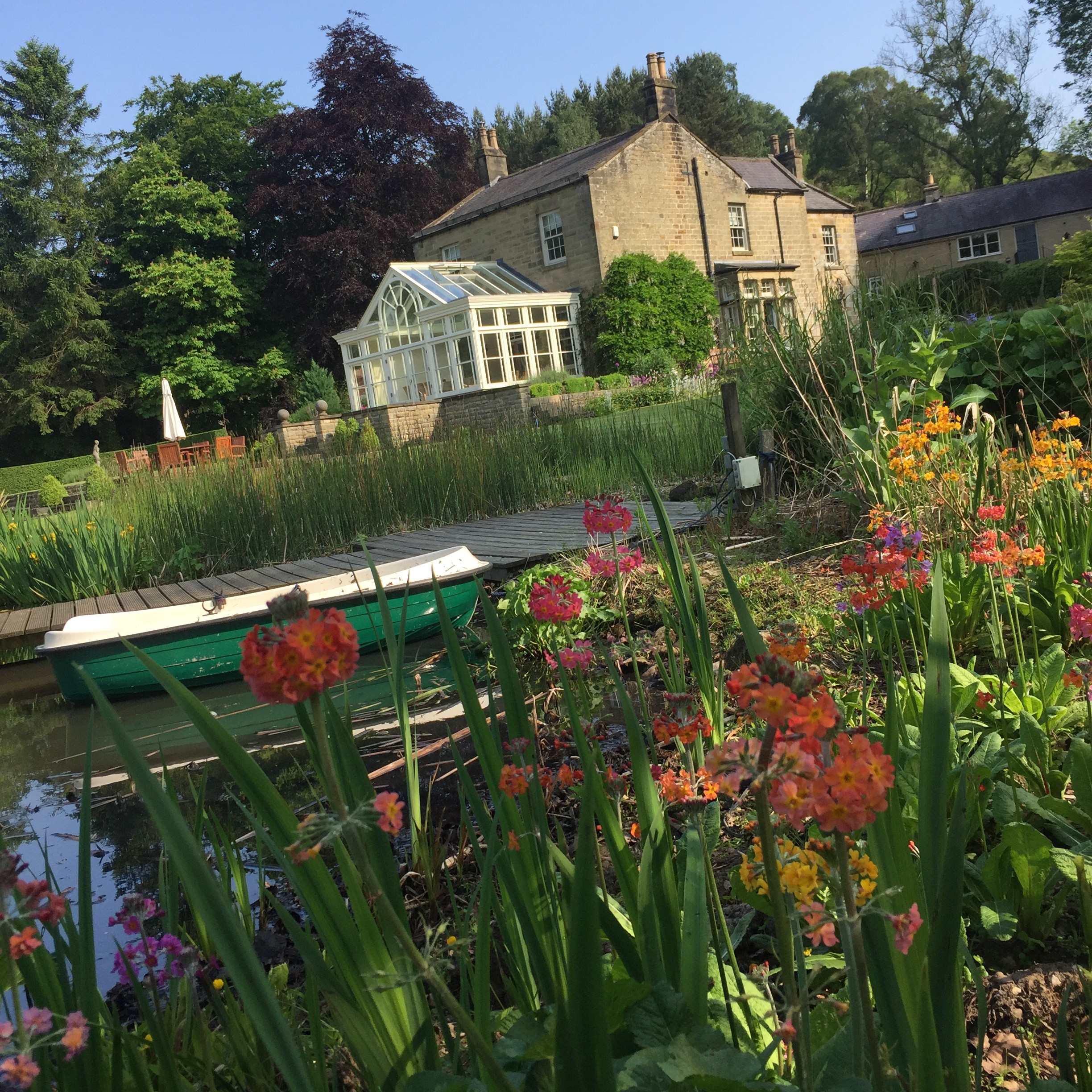 Grove House Levisham Wildlife pond and boat in June 